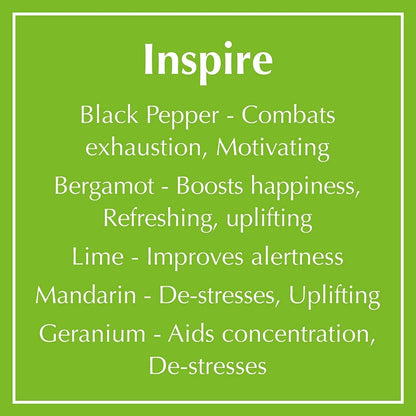 Aromaworks 男女通用蜡烛，Inspire Candle 3 芯大号，14.1 盎司