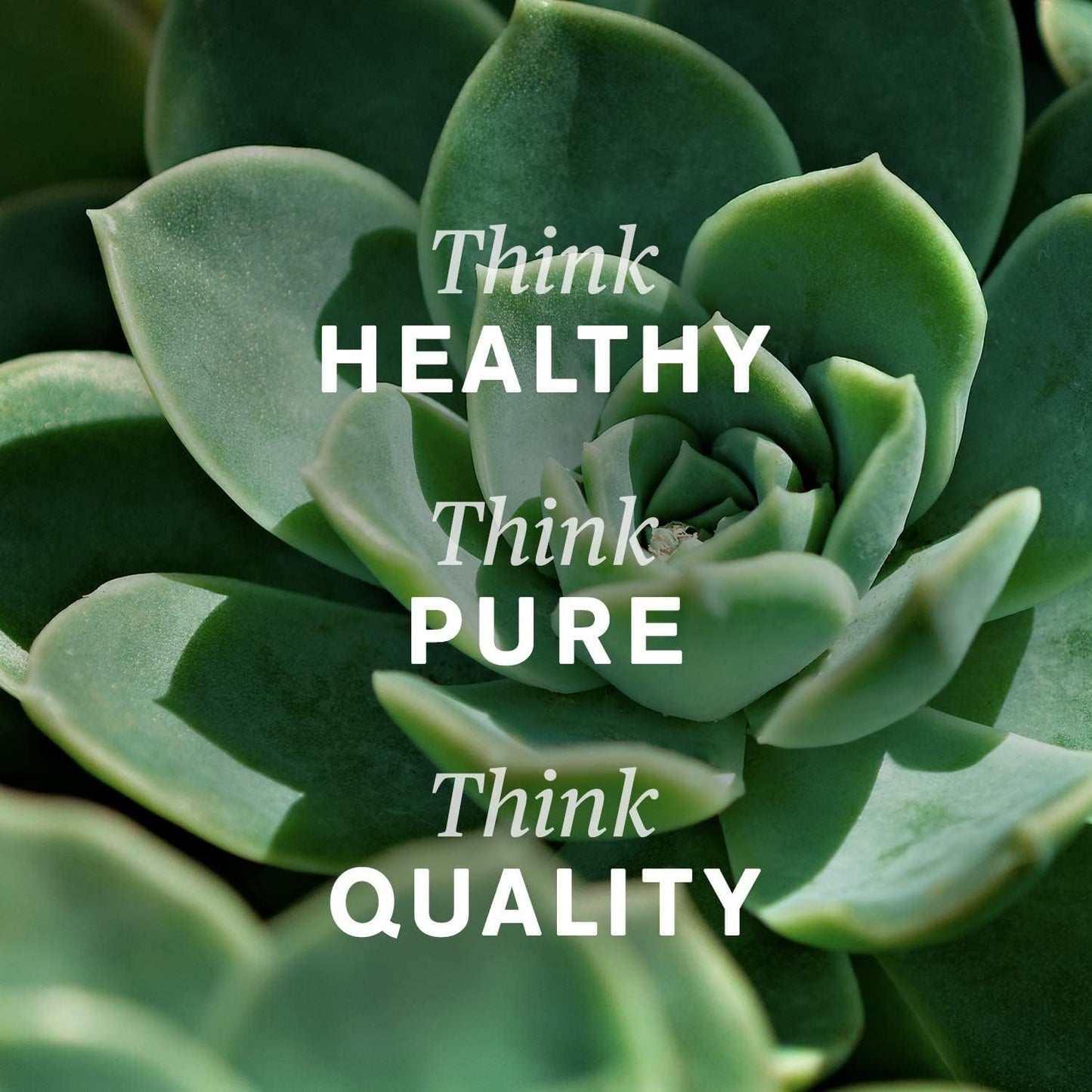 自然阳光 LBS II 100 粒胶囊 - 天然泻药，含鼠李皮和甘草根，有益于肠道健康和排便规律 - 强效草本配方，含天然成分，提供最佳消化支持