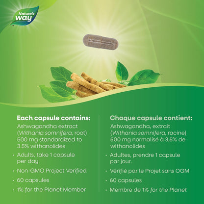 Nature’s Way Ashwagandha – 500 mg Ashwagandha Root Extract – Stress & Sleep Support – 60 Vegetarian Capsules, Non-GMO