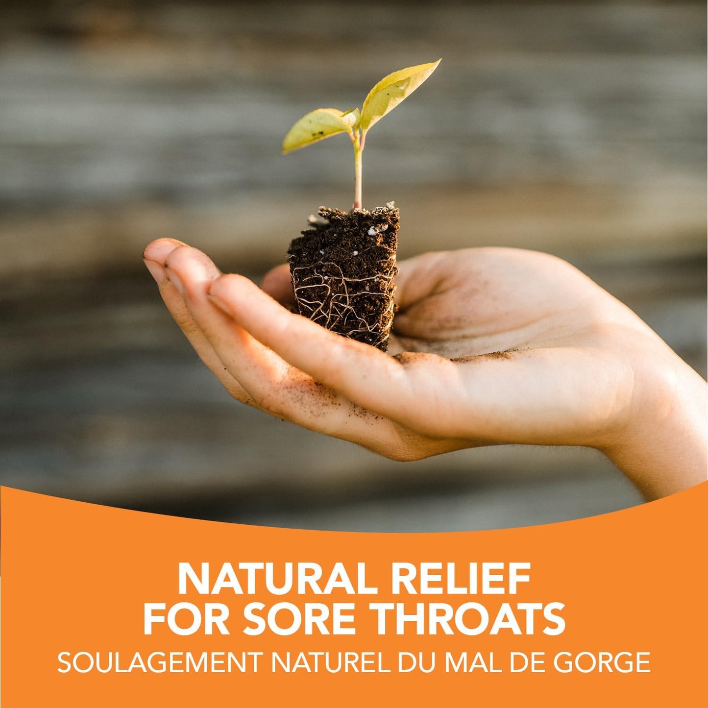 聖法蘭西斯草藥農場 Stop It Cold® 喉嚨噴霧 (30ml) 緩解喉嚨痛、感冒和流感症狀 (1 瓶) 素食、有機、野生草藥，加拿大製造，1988 年