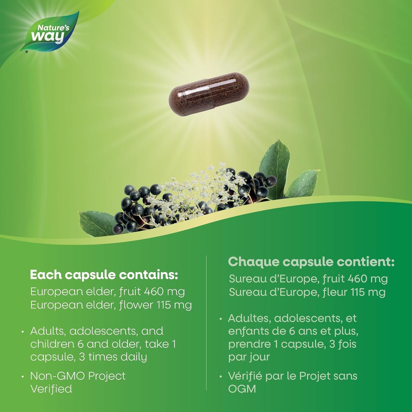 Nature's Way 欧洲接骨木胶囊 - 缓解感冒和流感症状 - 咳嗽、咽喉痛支持补充剂 - 接骨木浆果和花 - 非转基因认证 - 素食 - 成人和儿童适用 - 100 粒胶囊