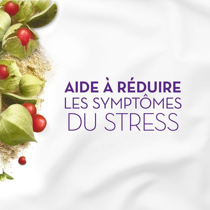 Vicks ZzzQuil PURE Zzzs 緩解壓力褪黑素助眠軟糖，成人適用，南非醉茄有助於減輕壓力症狀，每粒軟糖含 1 毫克，42 粒