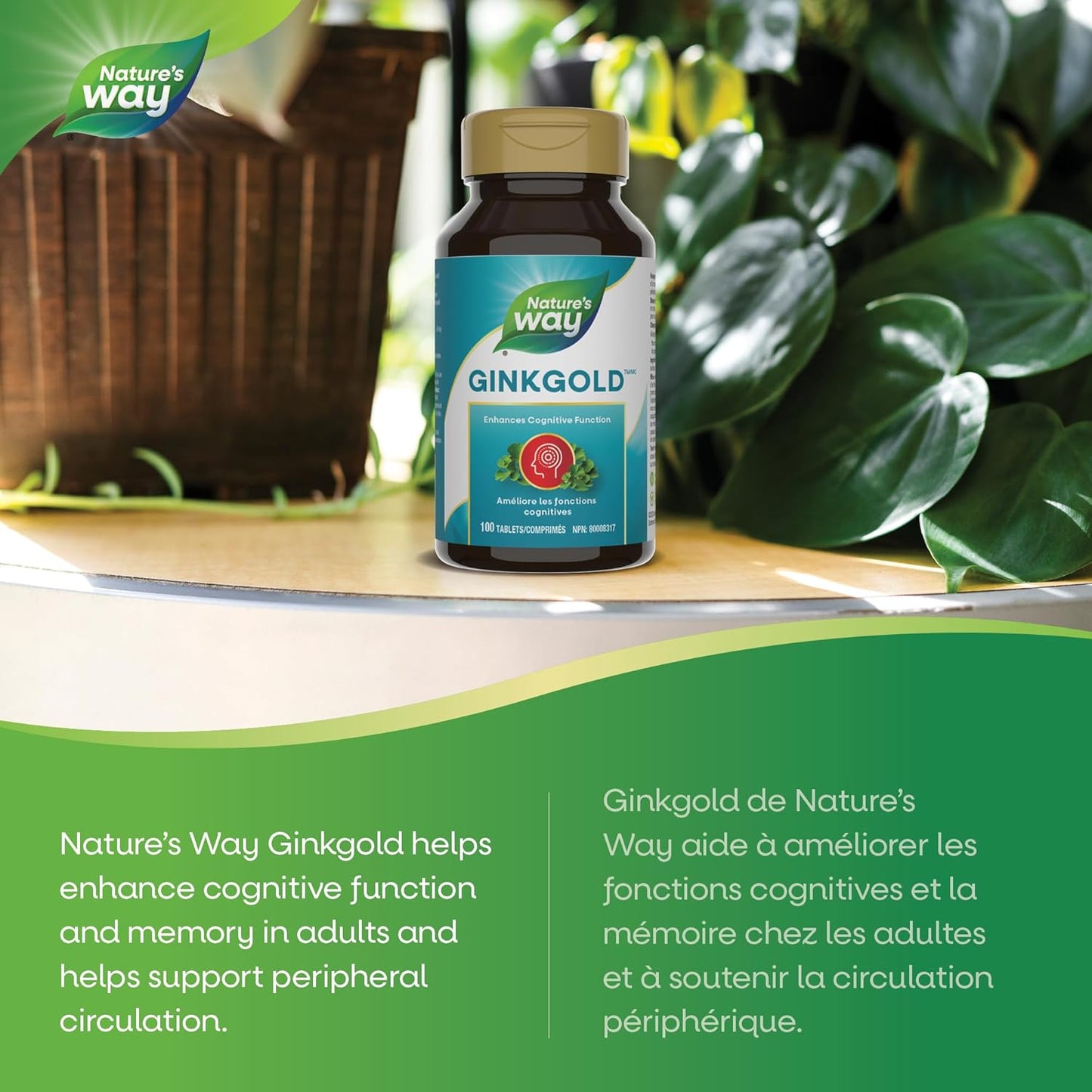 Nature's Way 銀杏金 - 成人認知功能和記憶力支持補充劑 - 外周循環 - 採用銀杏葉製成 - 標準化提取物 - 100 片素食片