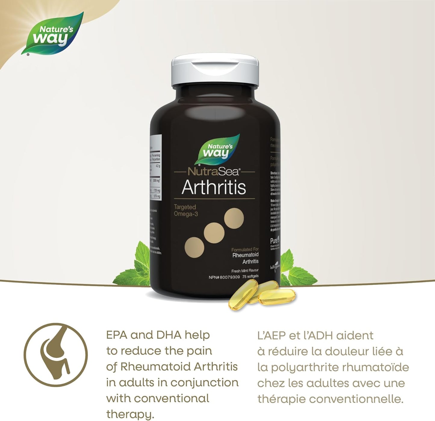 NutraSea Arthritis Targeted Omega-3 - Rheumatoid Arthritis Support 3000mg (1725mg EPA, 1275mg DHA), Fresh Mint, 75 count softgel