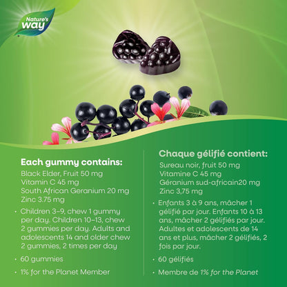 Nature's Way 接骨木感冒和流感缓解儿童接骨木软糖 – 用于草药，帮助缓解 3 岁以上儿童的症状（咳嗽、流鼻涕和喉咙痛），60 粒软糖