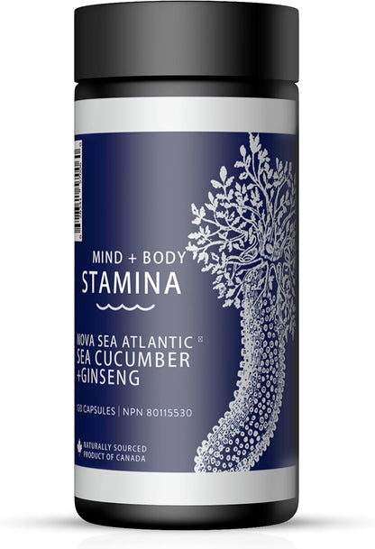 Nova Sea 大西洋海參+人參增強耐力膠囊 - 120粒，抗氧化，能量和循環支持