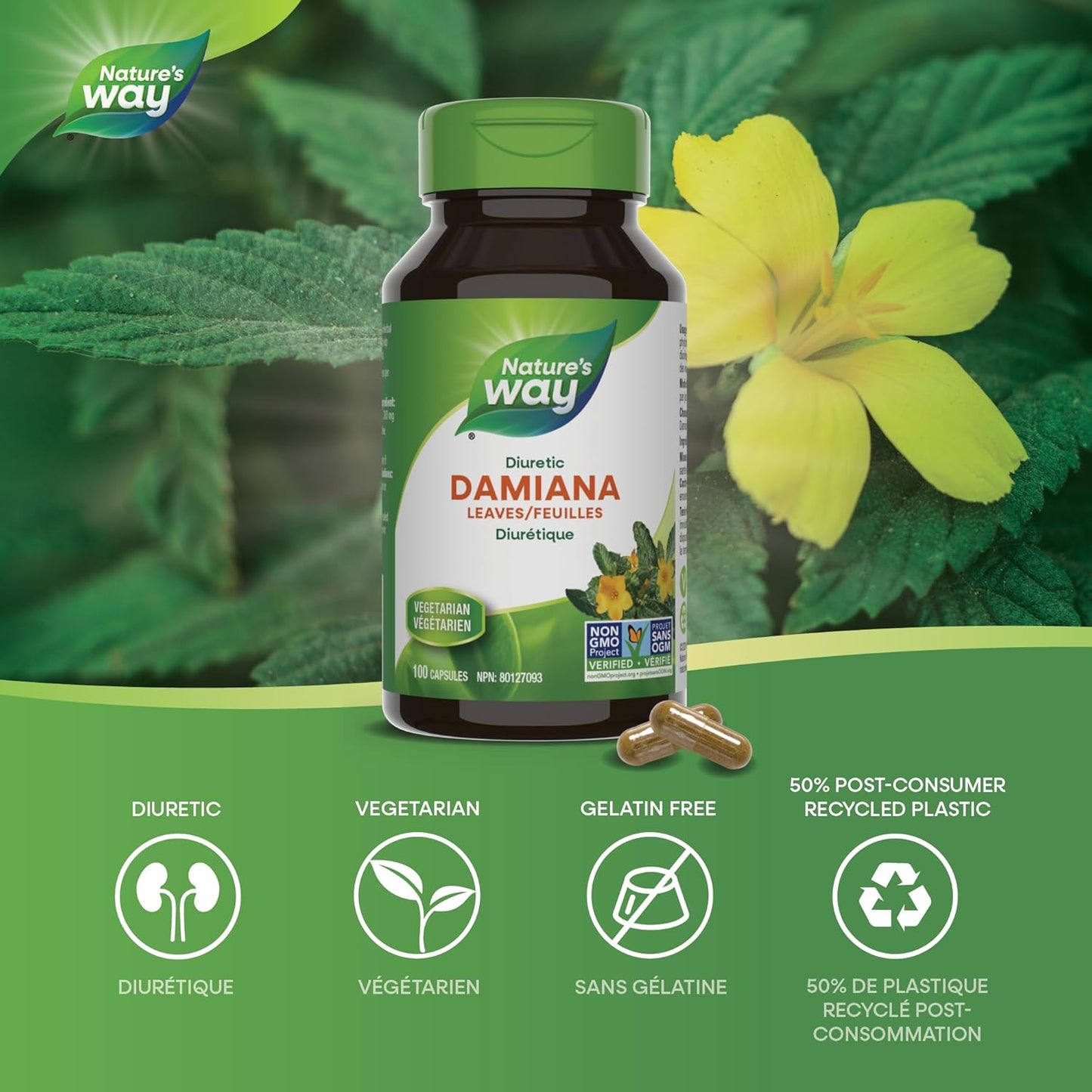 Nature's Way Damiana Leaves Premium Capsules - Herbal Nervine Tonic & Urinary Support – 300 mg of Damiana Leaves per Capsule - Non-GMO, 100 Vegetarian Capsules
