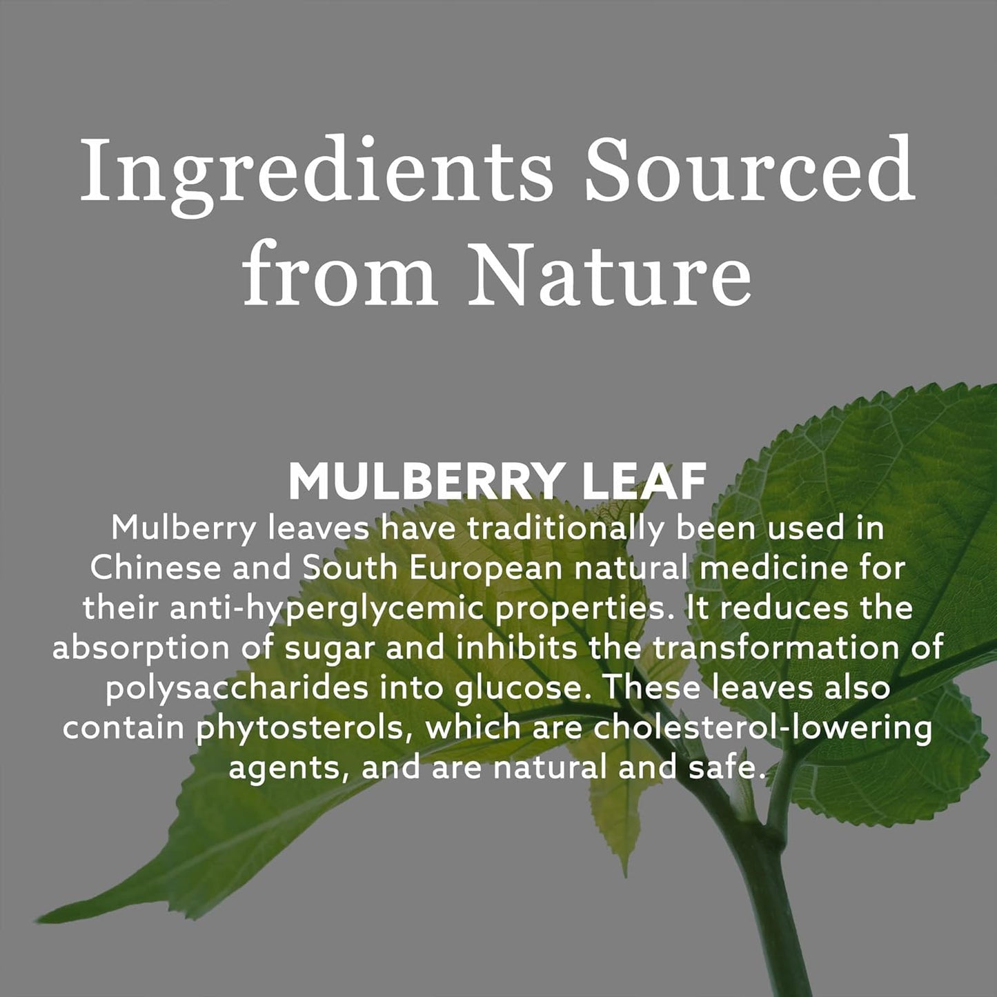 New Nordic Zuccarin Diet - Herbal Supplement to Support a Healthy Lifestyle - Contains White Mulberry Leaf Extract & Green Coffee Bean Extract - 60 Vegan Tablets