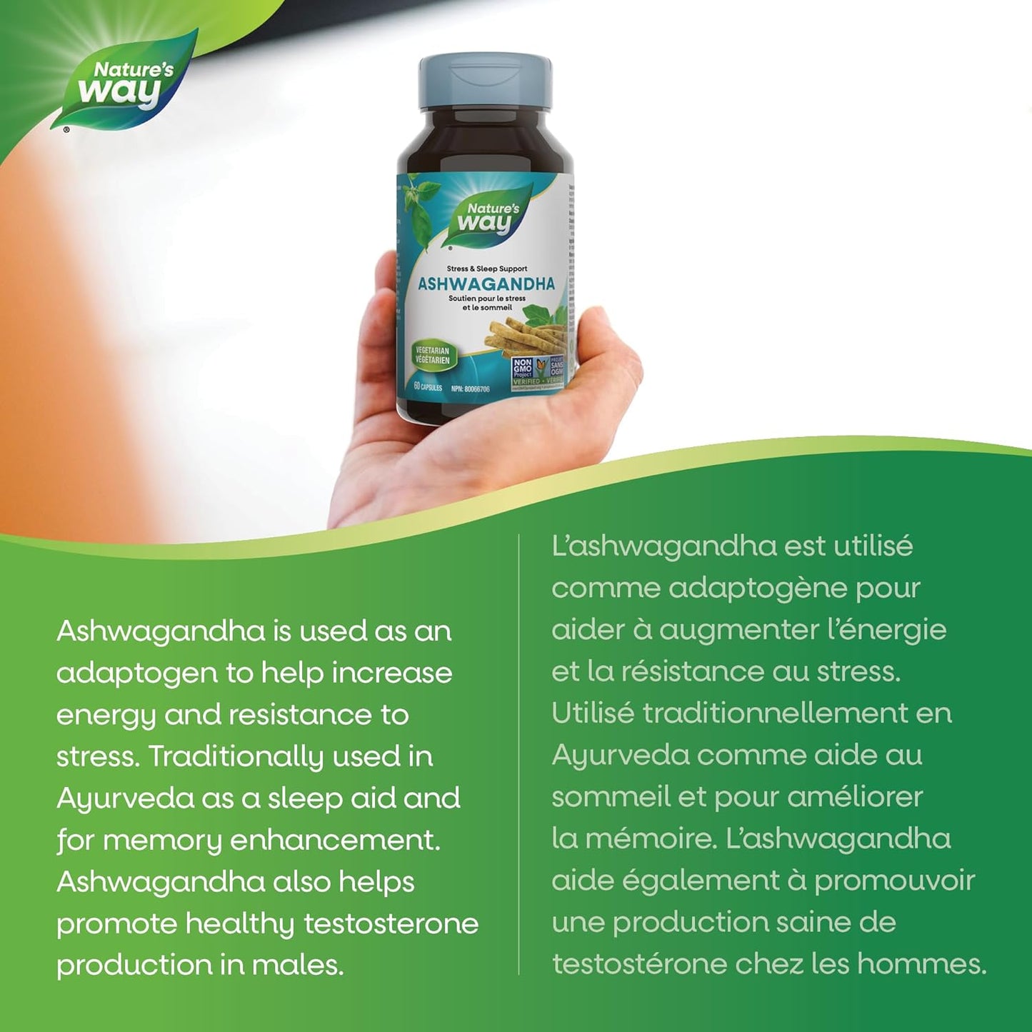 Nature’s Way Ashwagandha – 500 mg Ashwagandha Root Extract – Stress & Sleep Support – 60 Vegetarian Capsules, Non-GMO