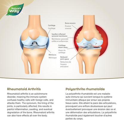 Nature's Way NutraSea Omega-3 - Arthritis - Rheumatoid Arthritis Support 2800mg (1800 mg EPA, 1000 mg DHA), Citrus Flavour, 200ml Liquid