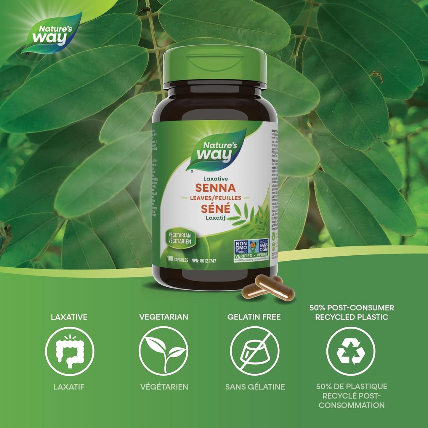 Nature’s Way 番泻叶 - 草本刺激性泻药 - 非转基因 - 100 粒素食胶囊