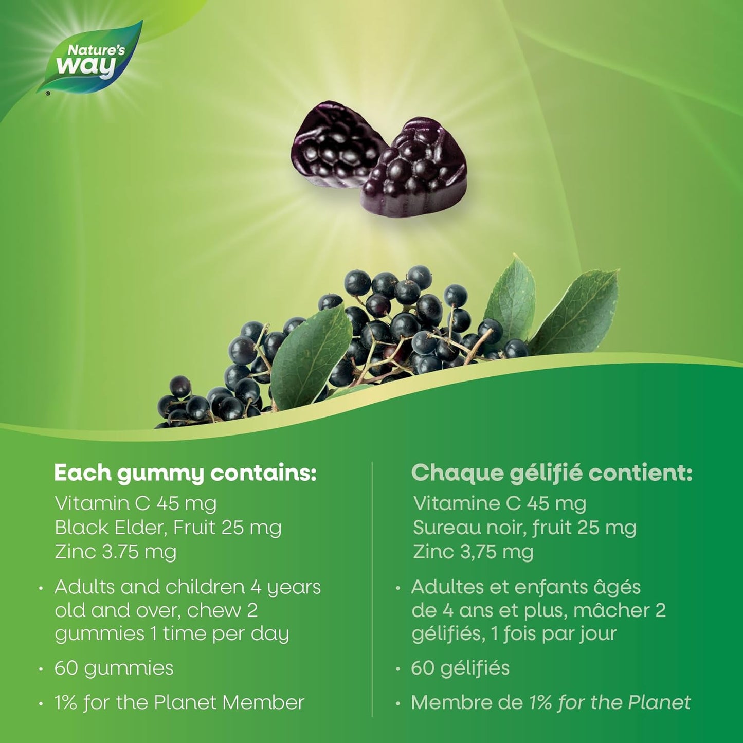 Nature's Way 接骨木免疫原味感冒和流感護理接骨木軟糖，含維生素 C 和鋅，用於草藥，為成人和 4 歲以上兒童提供免疫支持，60 粒軟糖