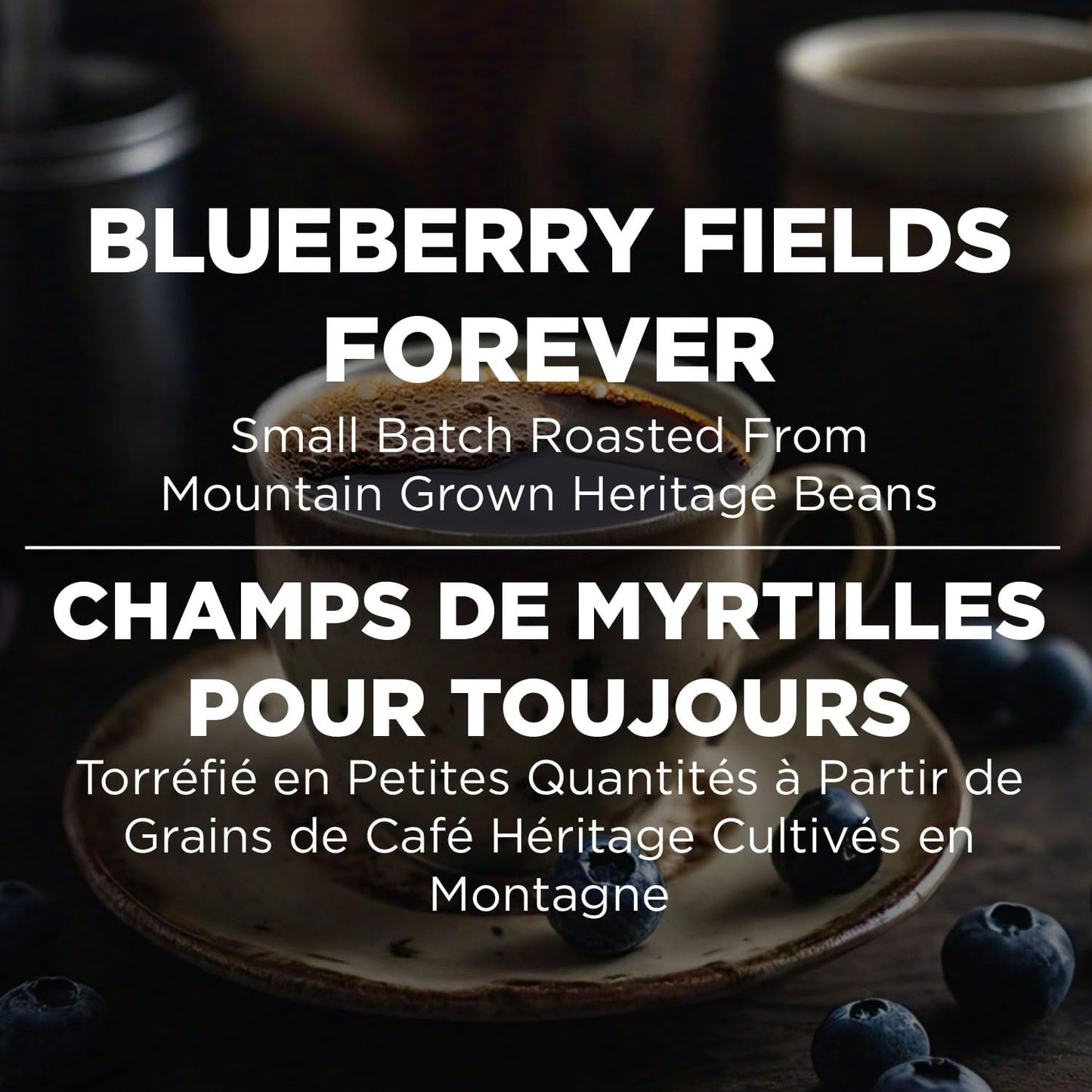 Maud's 蓝莓味中度烘焙研磨咖啡，1 袋（20 盎司），100% 阿拉比卡咖啡，52 份