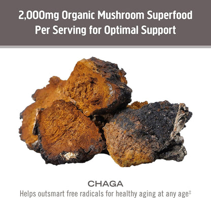 Om Chaga 蘑菇 667 毫克 75 粒胶囊 75 液体盎司