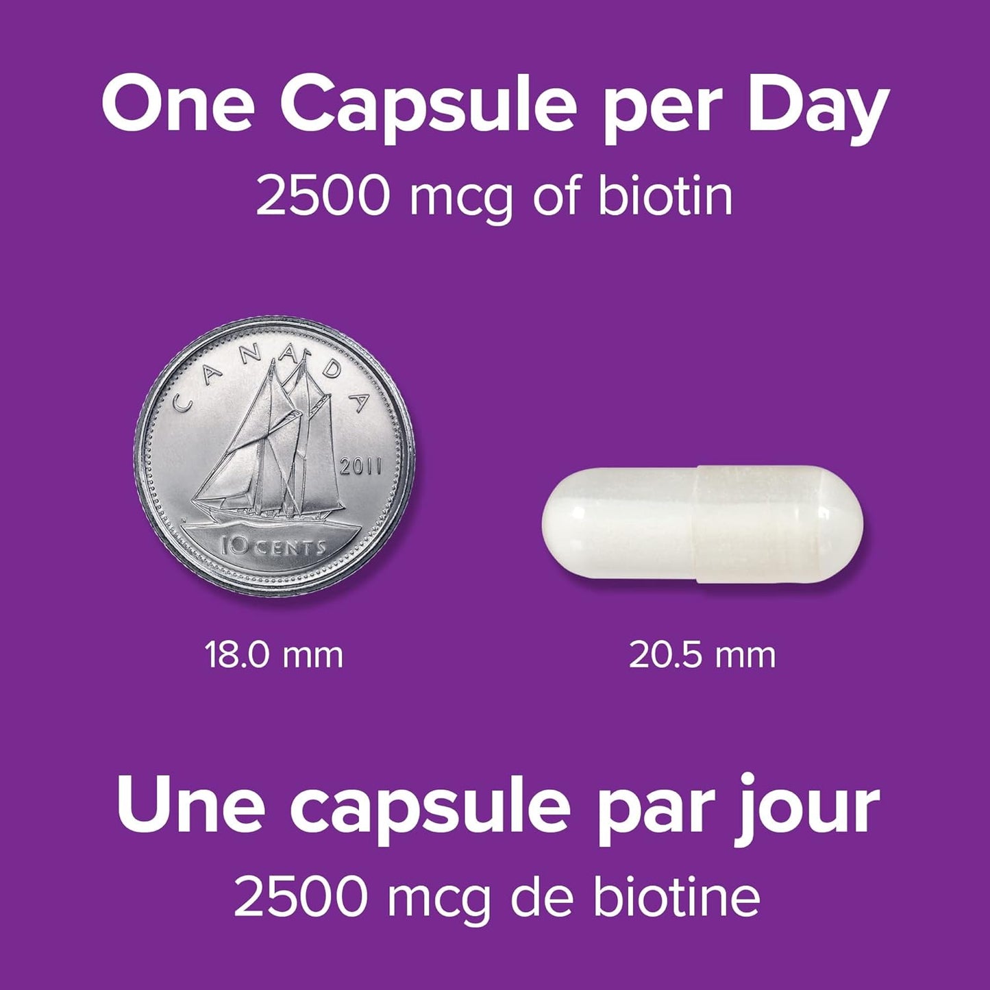 Webber Naturals Biotin 2500 mcg, 90 Capsules, Supports Healthy Hair, Skin & Nails, Energy Metabolism, Vegan