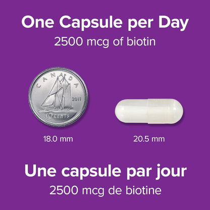 Webber Naturals Biotin 2500 mcg, 90 Capsules, Supports Healthy Hair, Skin & Nails, Energy Metabolism, Vegan