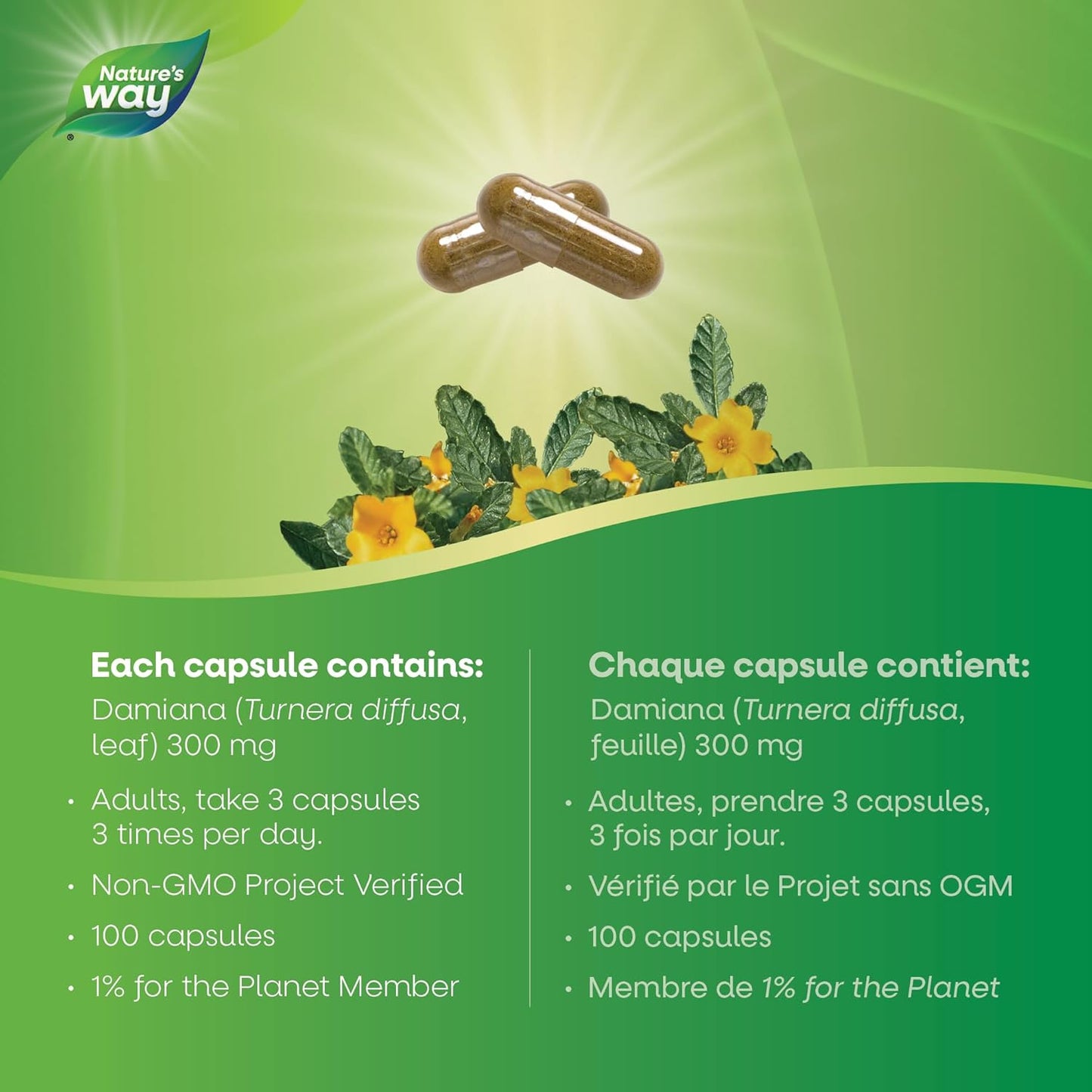 Nature's Way Damiana Leaves Premium Capsules - Herbal Nervine Tonic & Urinary Support – 300 mg of Damiana Leaves per Capsule - Non-GMO, 100 Vegetarian Capsules