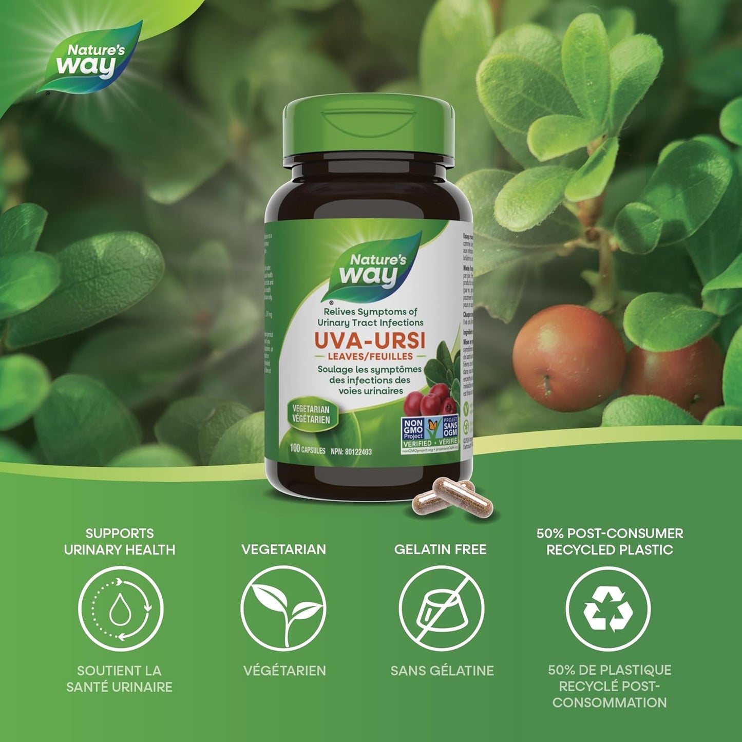 Nature's Way 熊果葉 - 溫和利尿 - 有助於緩解泌尿道感染症狀，100 粒素食膠囊，每粒含 370 毫克熊果葉，經非基因改造計畫驗證
