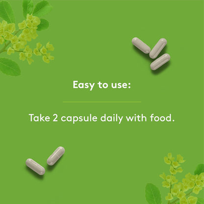 HEAL + CO. 关节支持复合物，含 6 种天然活性成分 - 缓解关节疼痛、减少炎症、支持活动能力，120 粒素食胶囊