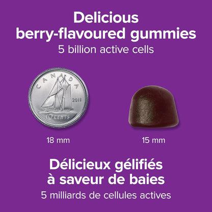 Webber Naturals Probiotic Gummy, 5 Billion Active Cells, 60 Gummies, Digestive Support, Vegan