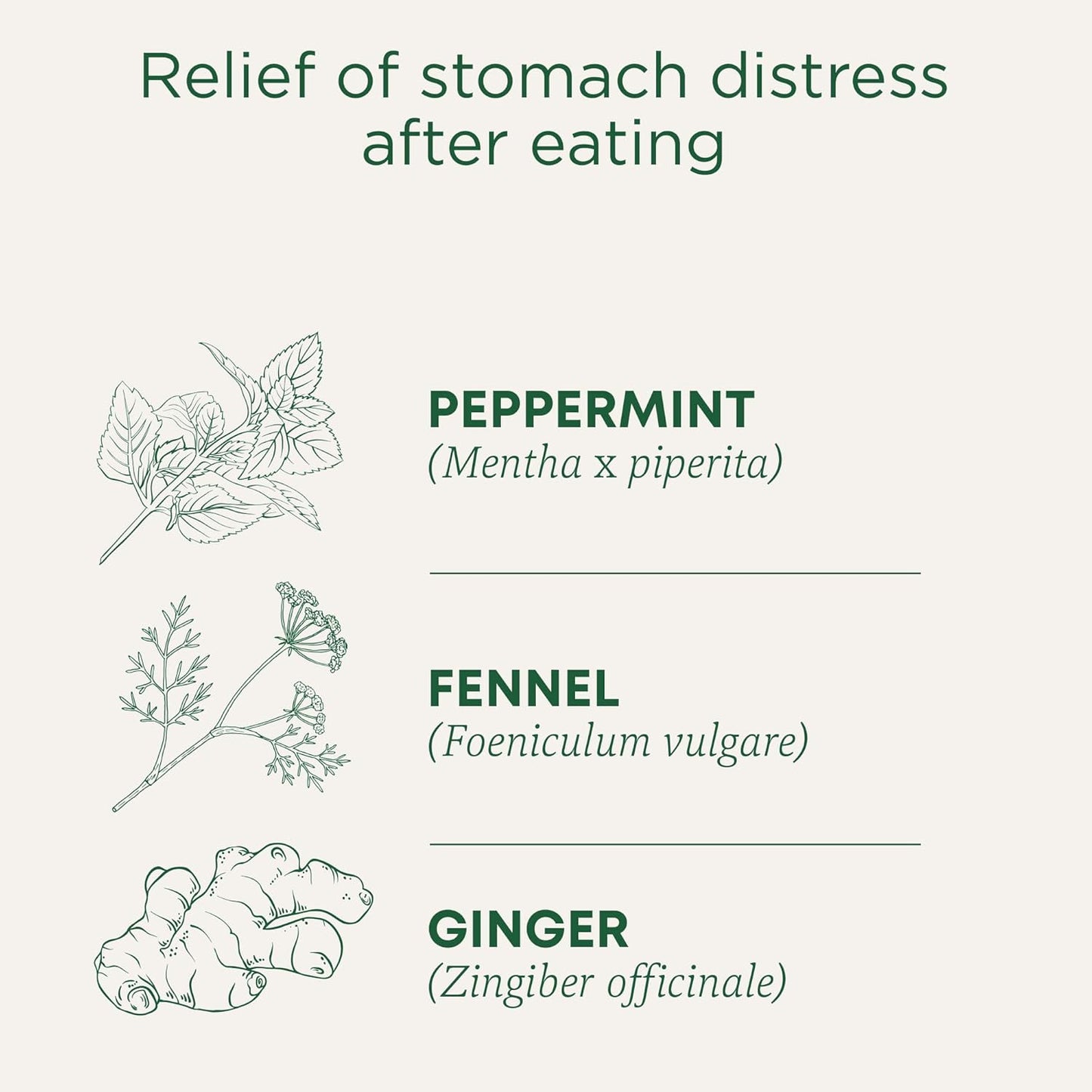 Traditional Medicinals - 有机舒腹薄荷草本茶（6 包）- 含生姜、茴香和柠檬香脂，有助于消化 - 共 96 个茶包