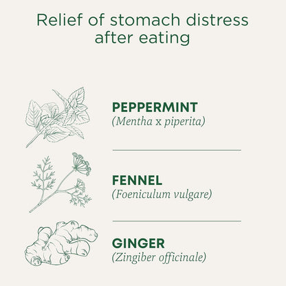 Traditional Medicinals - 有机舒腹薄荷草本茶（6 包）- 含生姜、茴香和柠檬香脂，有助于消化 - 共 96 个茶包