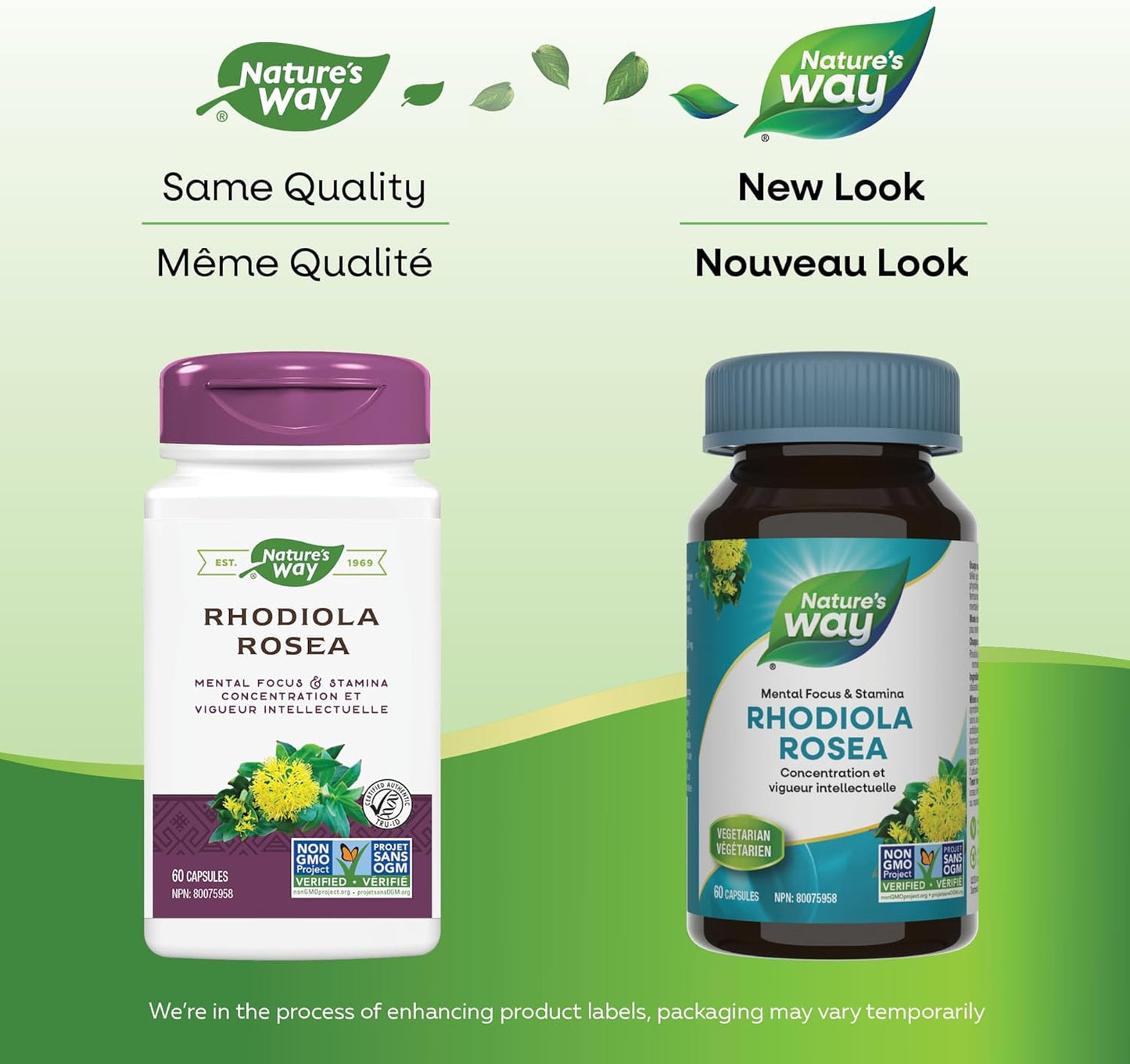 Nature’s Way Rhodiola Rosea – Cognitive Function Support such as Mental Focus & Stamina – Temporary Stress Relief - Non-GMO - 60 Vegetarian Capsules