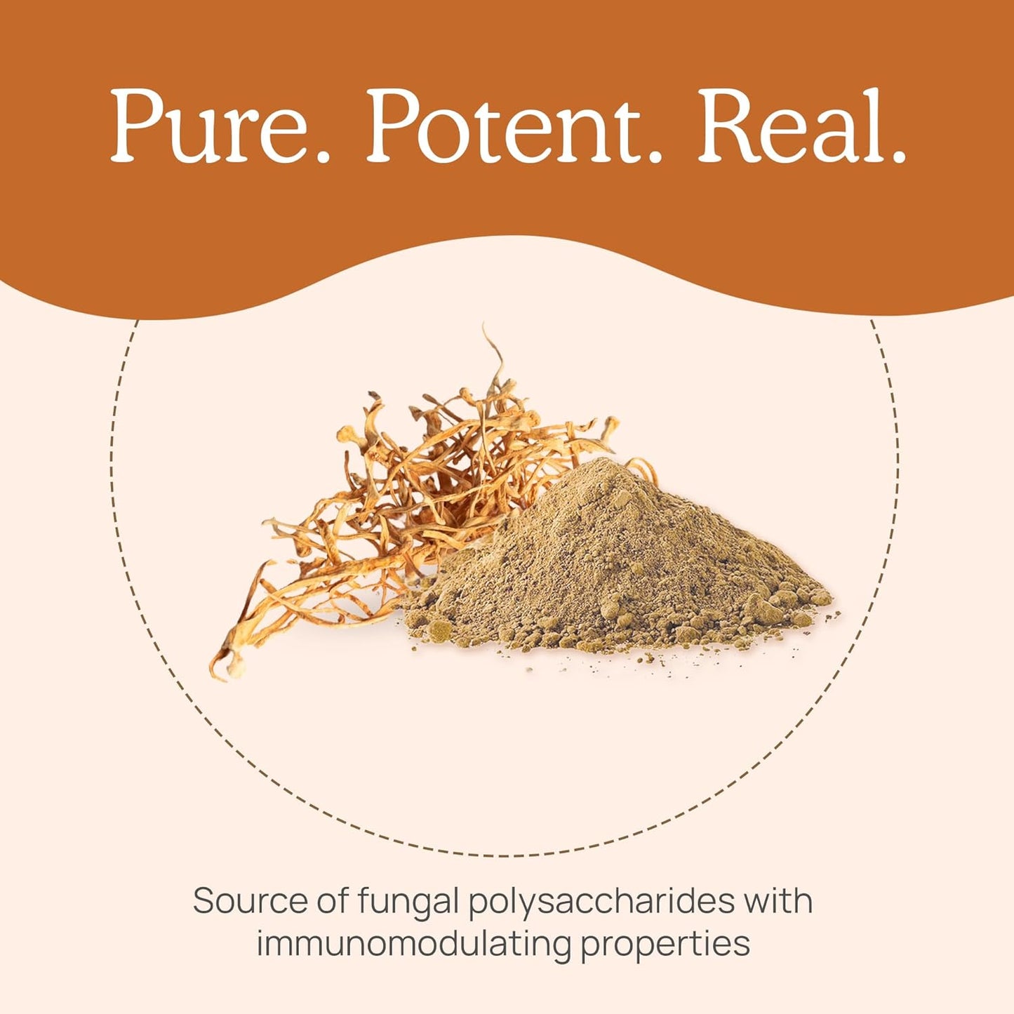 Real Mushrooms Cordyceps Capsules - Organic Militaris Extract with Measured Beta-Glucans Fungal Polysaccharides Immunomodulating Properties Vegan Supplement, Non-GMO, 300 Caps