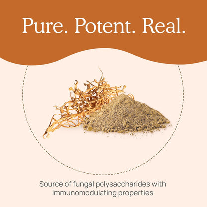 Real Mushrooms Cordyceps Capsules - Organic Militaris Extract with Measured Beta-Glucans Fungal Polysaccharides Immunomodulating Properties Vegan Supplement, Non-GMO, 300 Caps