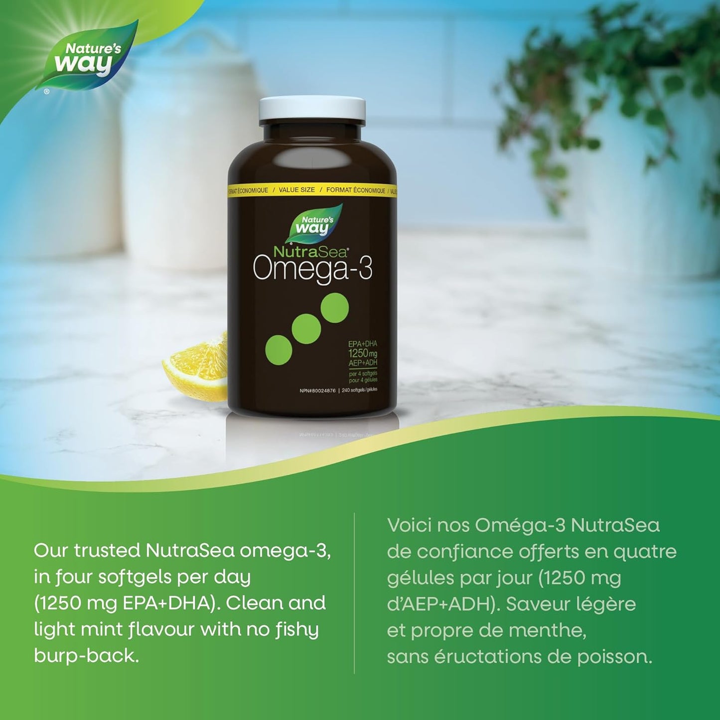 Nature's Way NutraSea Omega-3 补充剂软胶囊，柠檬味 - EPA 和 DHA 鱼油 - 支持 14 岁以上儿童和成人的心脏和大脑健康，240 粒软胶囊，超值装