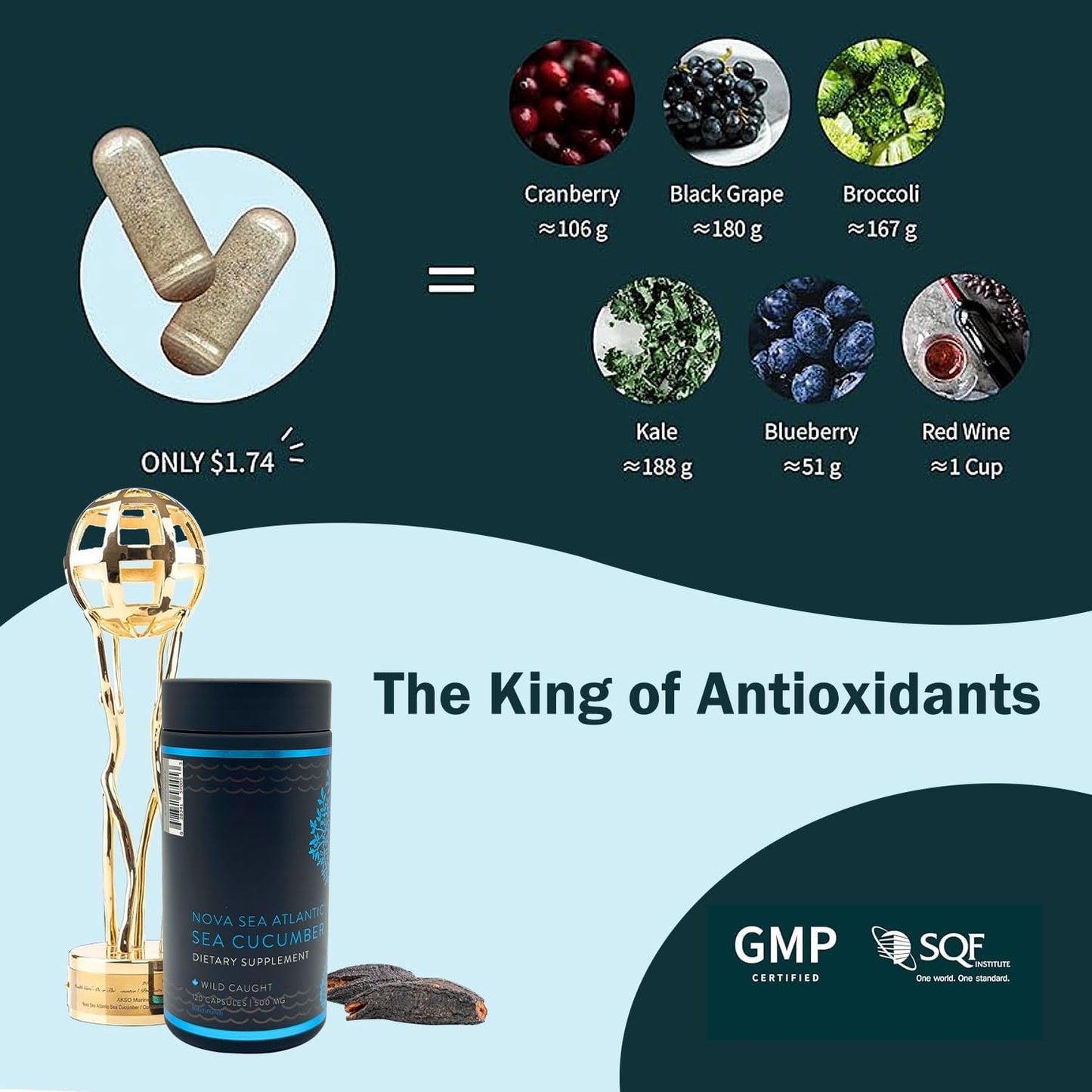 Nova Sea 大西洋野生海参补充剂胶囊，抗氧化健康能量补充剂，含岩藻糖基化硫酸软骨素、胶原蛋白糖苷、维生素、矿物质