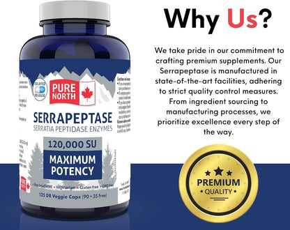 Pure North Naturals - Serrapeptase 沙雷氏菌肽酶 120000 SU 最大效力（90+35 粒胶囊）125 天供应 - 支持呼吸健康 - 经第三方测试 - 加拿大配制和制造
