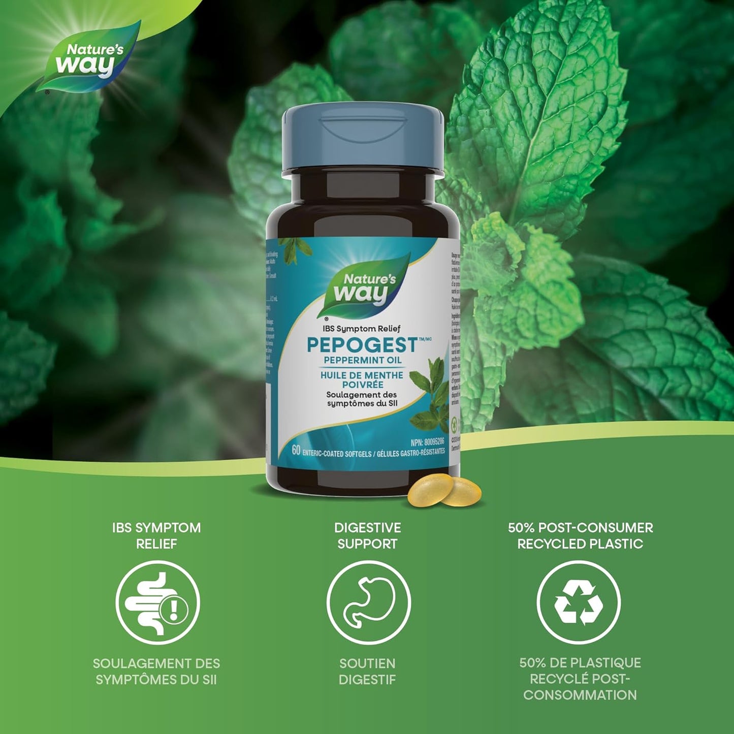Nature’s Way Pepogest 薄荷油胶囊 - 缓解肠易激综合征 (IBS) 症状 - 有助于减轻腹痛、胀气和腹胀 - 60 粒胶囊