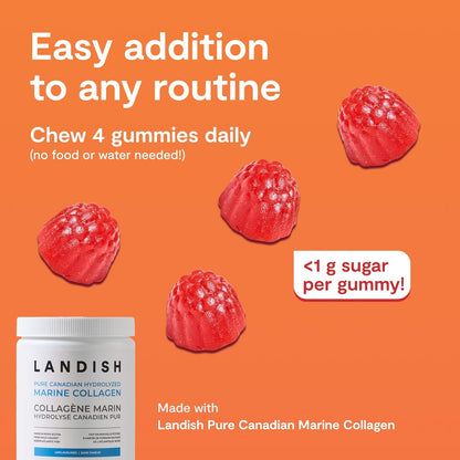 Landish Marine Collagen Gummies – Wild Canadian Marine Collagen, Vitamin C, Magnesium, Zinc & Biotin – Skin, Hair, Nails & Joint Support – No Artificial Colours or Flavours – Made in Canada – 60 Gummies