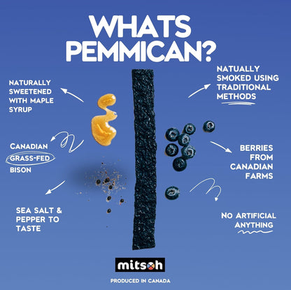 野牛藍莓肉乾零食 | 原住民超級食物 | 採用草飼野牛製成 | 加拿大原住民所有 | 高蛋白、無麩質、無大豆，4 包