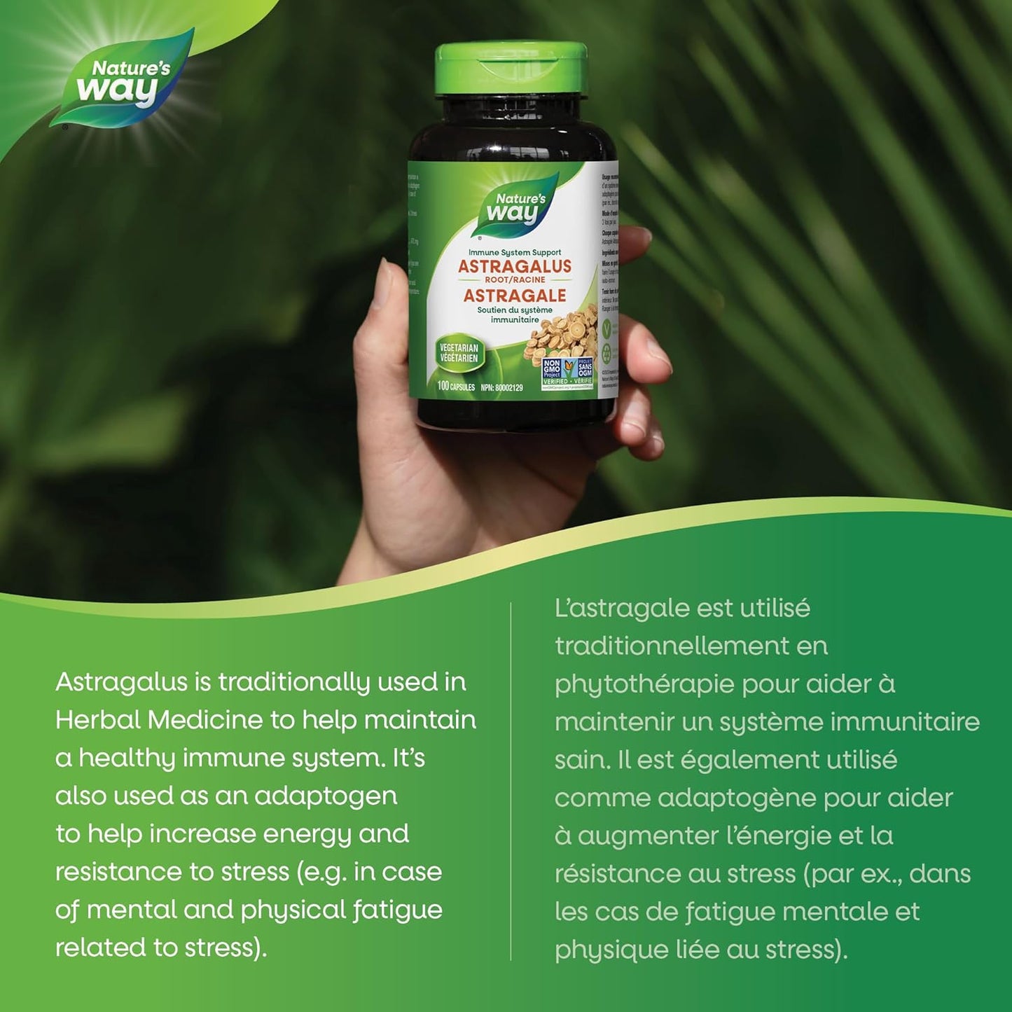 Nature's Way 黄芪根，免疫系统支持，100 粒素食胶囊