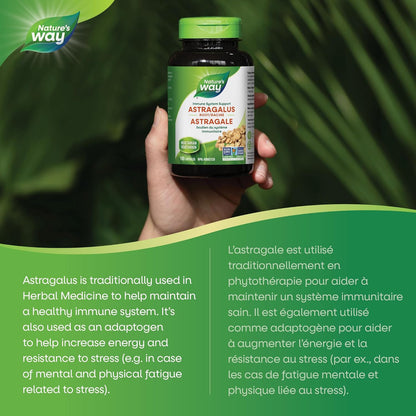 Nature's Way 黄芪根，免疫系统支持，100 粒素食胶囊