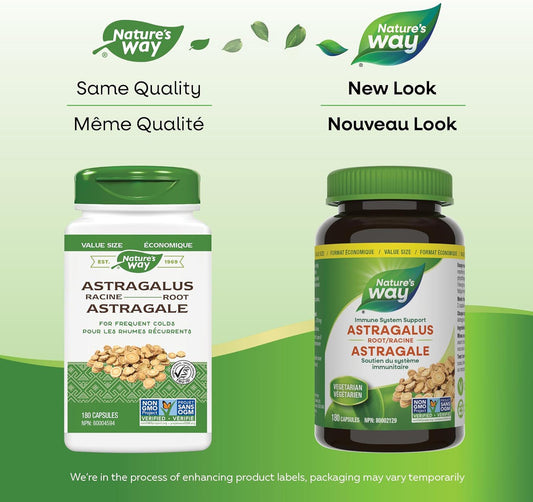 Nature's Way Astragalus Root, Immune System Support, Value Size, 180 Vegetarian Capsules