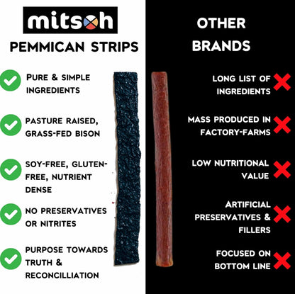 野牛蓝莓肉干零食 | 原住民超级食物 | 采用草饲野牛制成 | 加拿大原住民所有 | 高蛋白、无麸质、无大豆，4 包