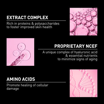 Filorga NCEF Anti-Aging Skin Care Collection – Serum, Lotion, Moisturizer & Eye Cream with Hyaluronic Acid & Essential Nutrients