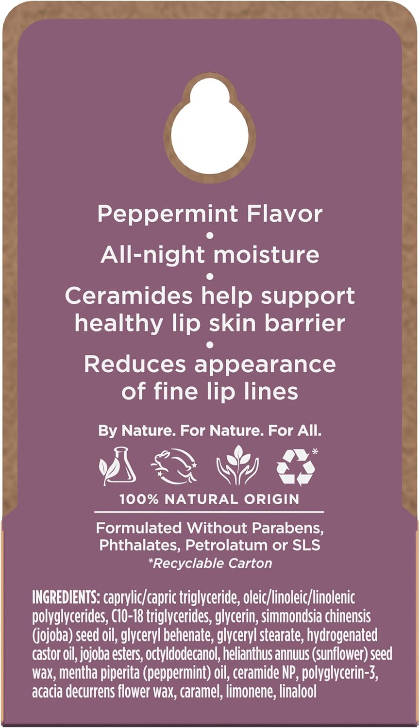 Burt's Bees 100% 天然夜间强效唇部护理，超强调理唇部护理 - 0.25 盎司