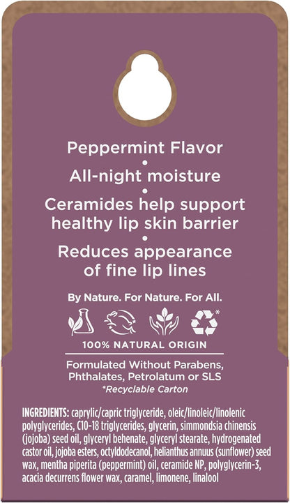 Burt's Bees 100% 天然夜间强效唇部护理，超强调理唇部护理 - 0.25 盎司