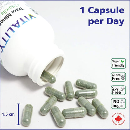 VITALITY 微量礦物質 + 小球藻 | 90 粒植物膠囊（90 天）