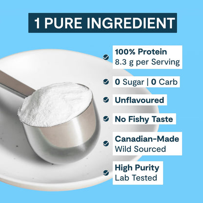 Landish 純加拿大海洋膠原蛋白肽粉 - 全身性益處和關節支持，適用於女性和男性 - 水解、無味、超純蛋白質補充劑 - 完全溶解，0 碳水化合物和糖 - 加拿大製造 - 2…