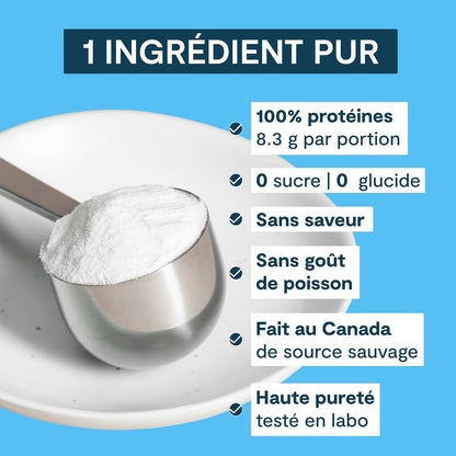 Landish 純加拿大海洋膠原蛋白肽粉 - 全身性益處和關節支持，適用於女性和男性 - 水解、無味、超純蛋白質補充劑 - 完全溶解，0 碳水化合物和糖 - 加拿大製造 - 2…