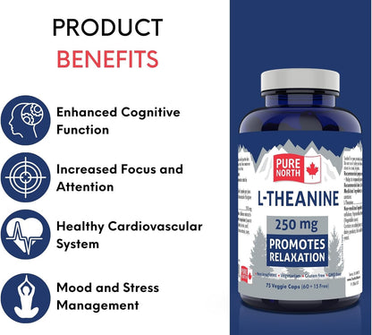 PURE NORTH NATURALS L-茶氨酸 250 毫克，75 粒素食胶囊，75 天用量 - 纯素、非转基因、无麸质，促进放松，增强认知功能 - 加拿大制造