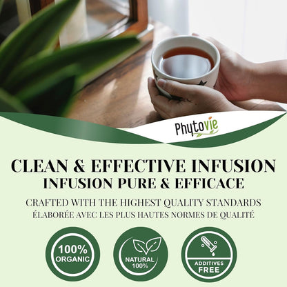 PHYTOVIE 有机番泻叶排毒茶 – 天然泻药和结肠清洁剂，方便快速缓解便秘，支持消化和肠道规律，无咖啡因草本茶，50 个茶​​包，加拿大制造 - NPN 02196212
