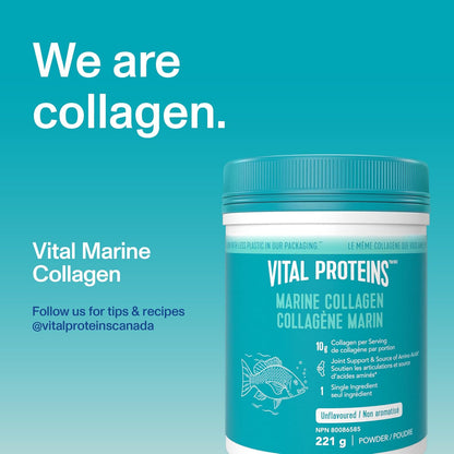 VITAL PROTEINS 海洋膠原蛋白肽粉，有助於形成膠原蛋白並減輕與骨關節炎相關的關節疼痛，氨基酸來源，不添加糖，不含人工色素或香料，221 克