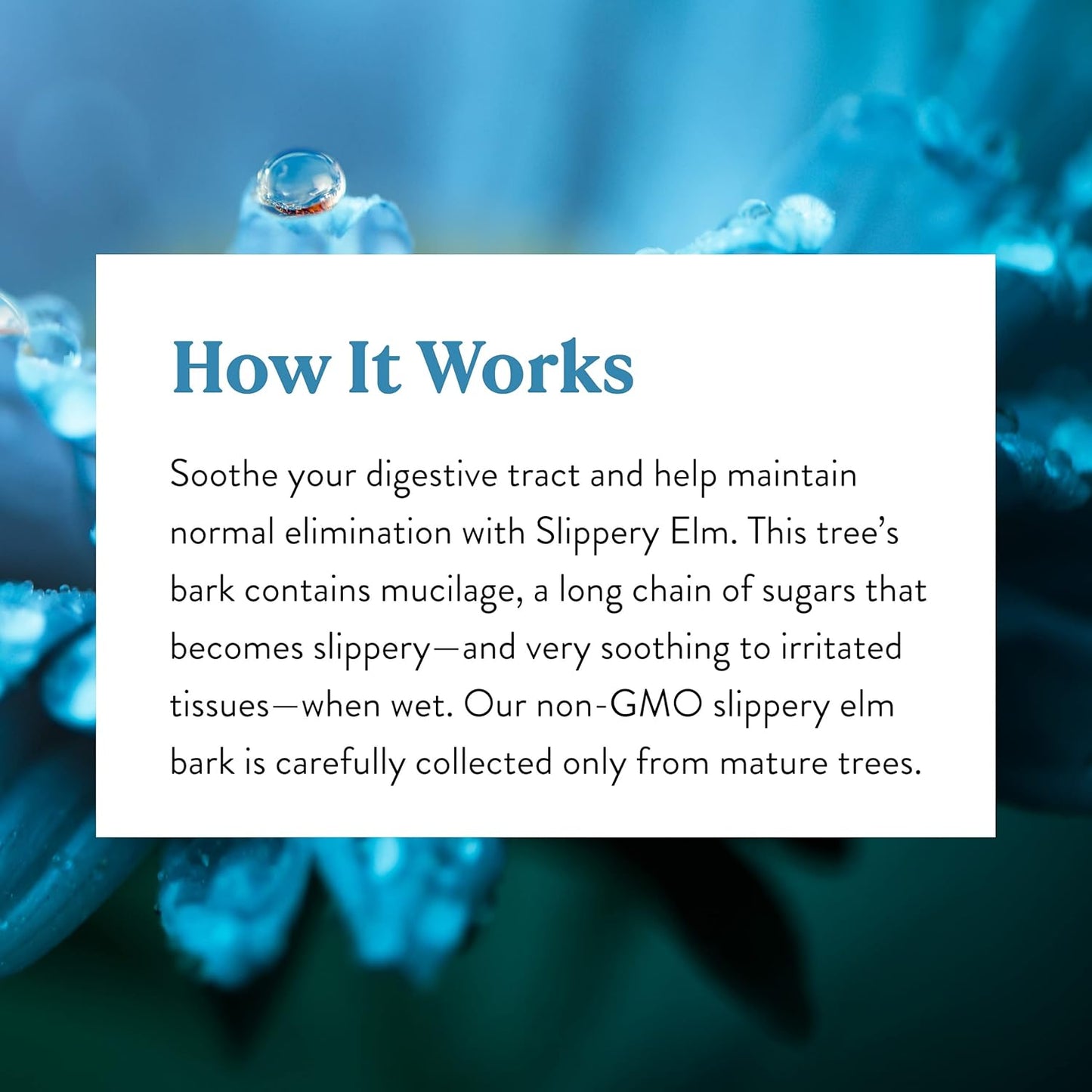 Nature's Sunshine Slippery Elm, 100 capsules