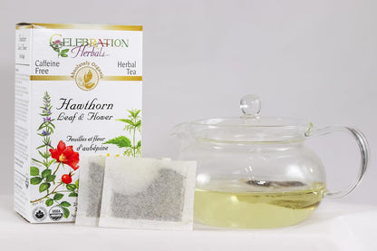 Celebration Herbals Organic Hawthorn Leaf & Flower Tea – Organic, Kosher (24 teabags - 36g) | Crataegus oxyacantha Herbal Tea | Sweet and Slightly Bitter, Valued in Herbal Traditions